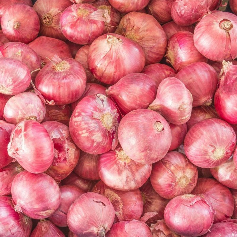 

Bawang Merah Grade A 250gram