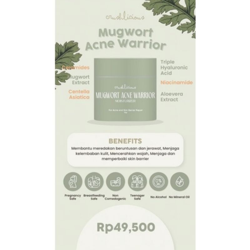 Crushlicious Mugwort Acne Warrior Moisturizer