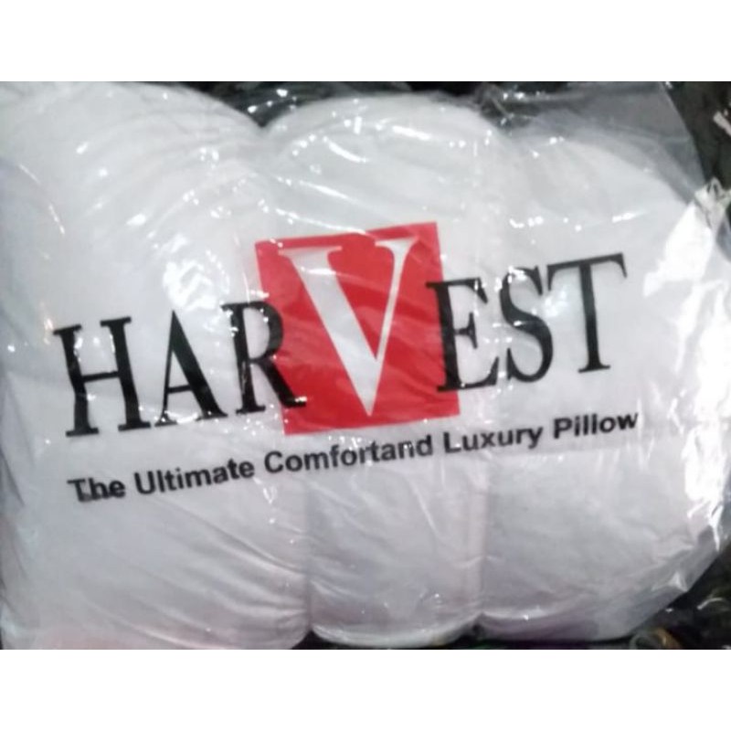 MC Bantal harvest dan guling harvest