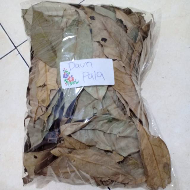  Daun  pala kering  1000 gram Shopee Indonesia