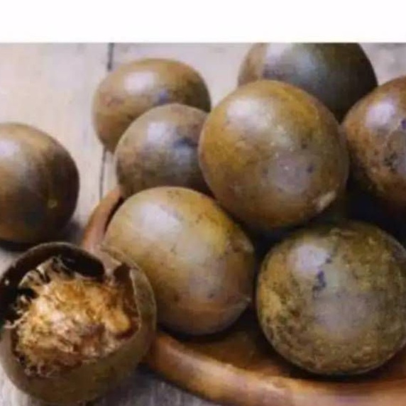 

BUAH LOHANKUO JUMBO