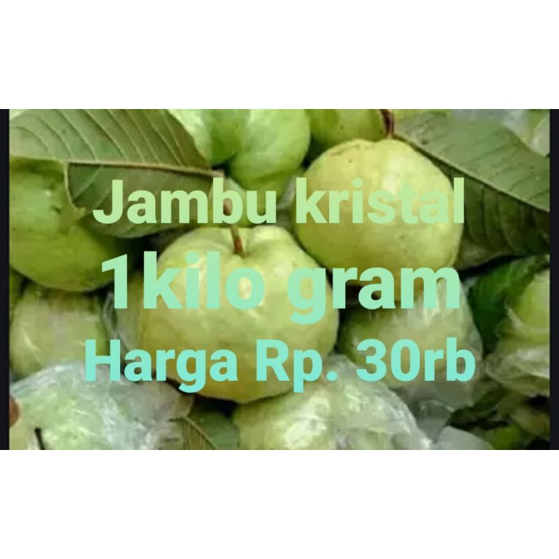 

jambu kristal