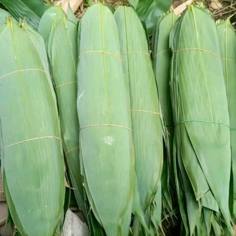 

daun bambu JUMBO bungkus bakcang 100 pcs, dijamin segar