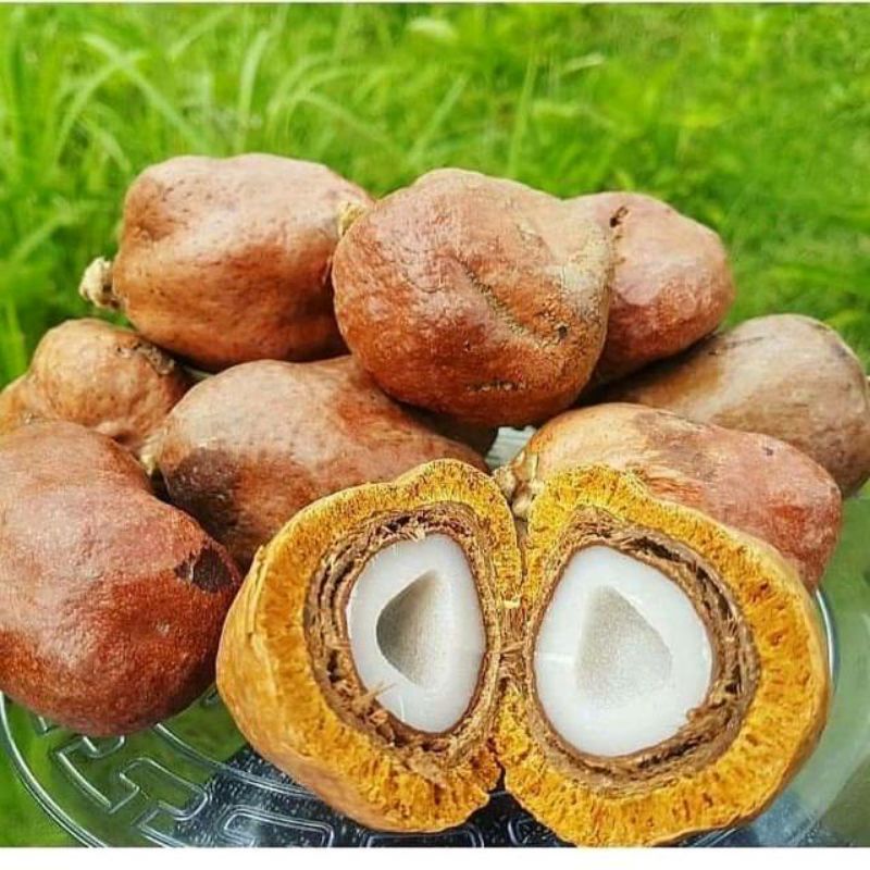 

Buah Zuriat 250 gr