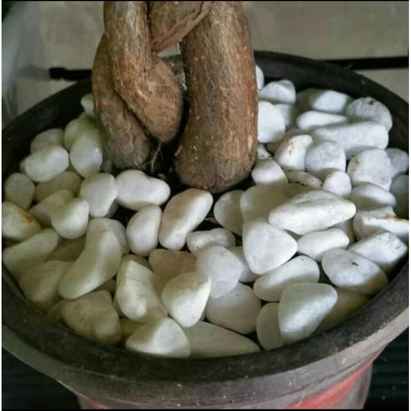 Batu hias italy - batu hiasan taman - hiasan taman - batu italy