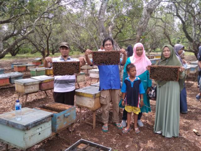 Madu Sarang Murni Kemasan 250 gr dan 500 gr