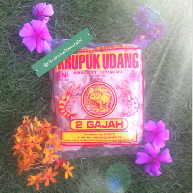 

RisnaRN- Kerupuk Udang (2 Gajah) 250gr