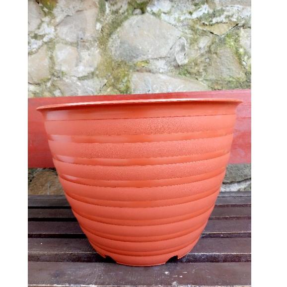 ☇ POT BUNGA TAWON 40 PUTIH JUMBO ✤