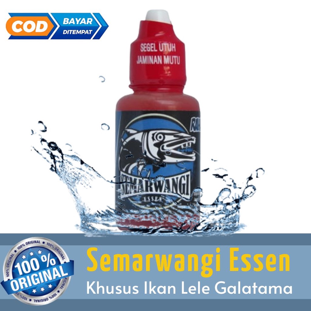 Jual Semarwangi Essen Ikan Lele Galatama Aroma 3x Lebih Tajam | Semarwangi Essen Ikan Lele Galatama 