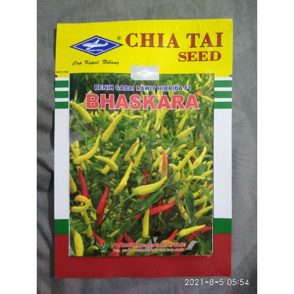 Benih Cabe Rawit Bhaskara 10gr