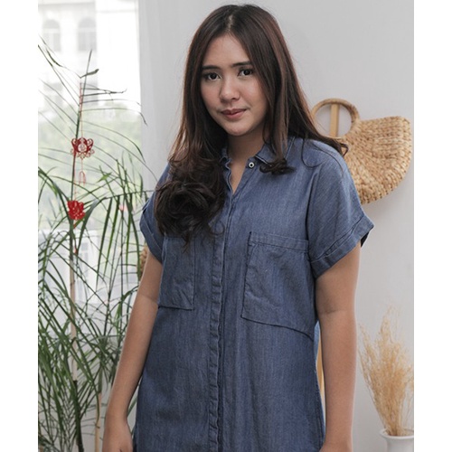 Miyoshi Denim Dress
