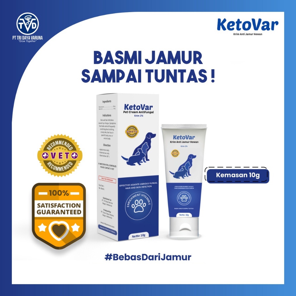 Ketovar Krim Salep Obat Jamur Ringworm Hewan Anjing Kucing Kelinci 10 gram