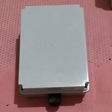 Ruckus 7363 Custom Outdoor