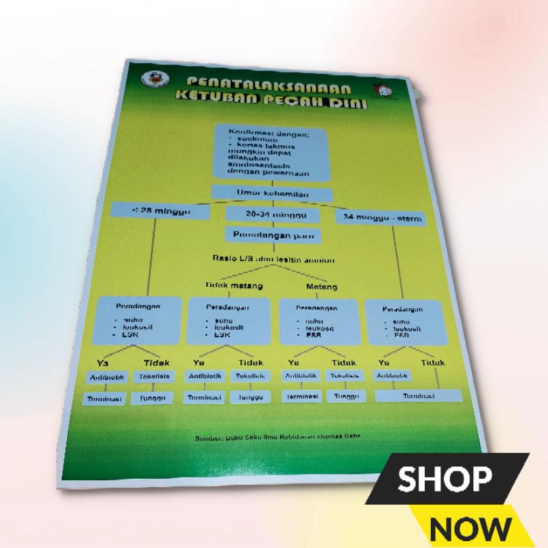 

Poster Penatalaksanaan Ketuban Pecah Dini dan Poster Kebidanan Lainnya