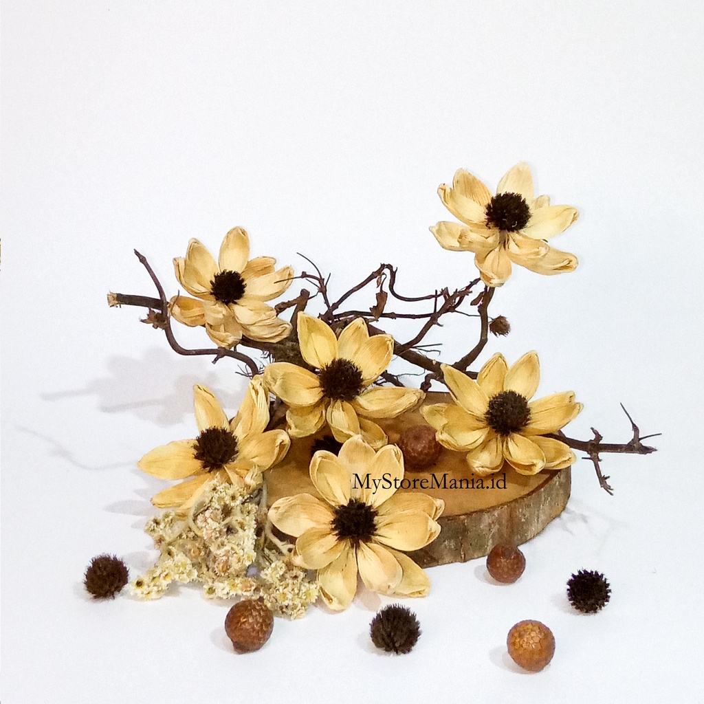 bunga klobot / mawar klobot / bunga kering / dried flower