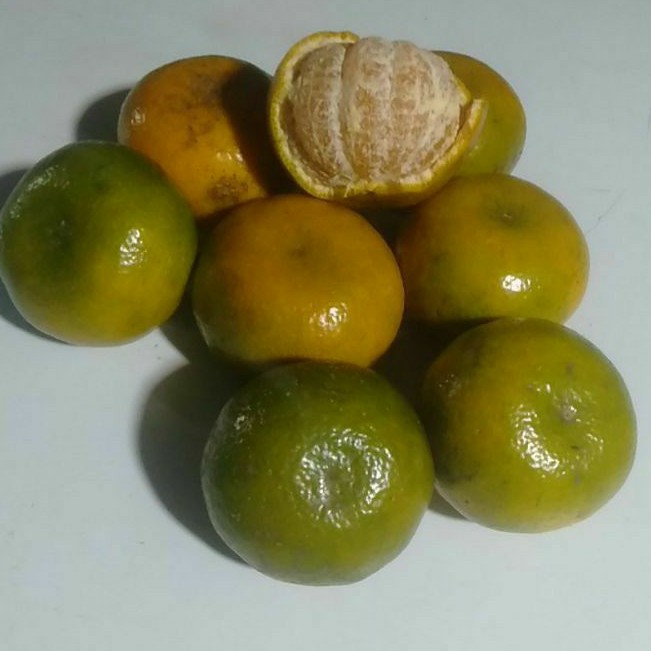 

Jeruk Asal Kintamani Bali grade size 7~8 pc in 1 kg