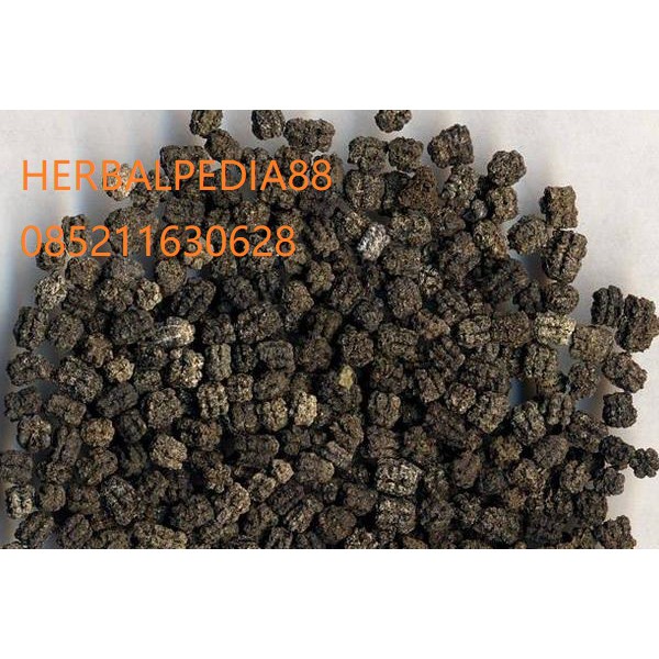 

Can sha 蚕沙 Bombyx mori Linnaeus 100 gram