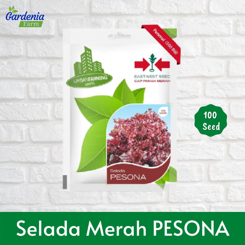 Benih Selada Merah Pesona - Cap Panah Merah