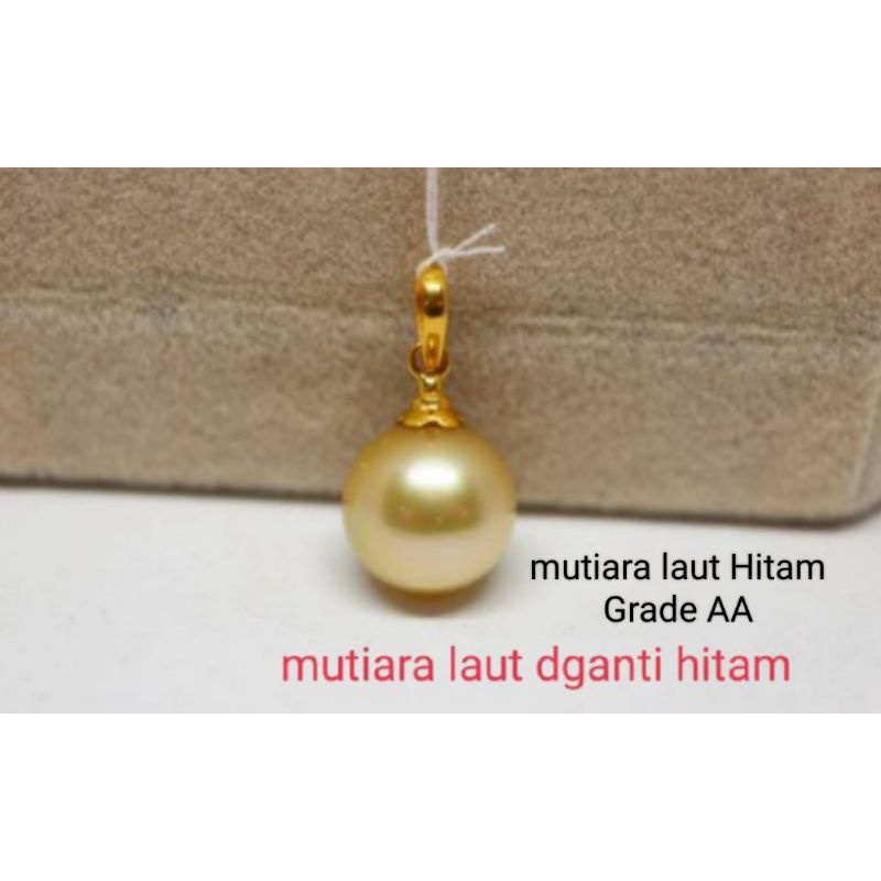 Liontin mutiara Laut Hitam Grade AA lengkap Sertifikat