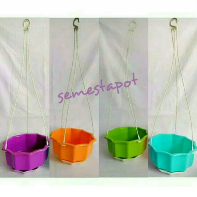 Pot Gantung Bunga Tanaman Enoki