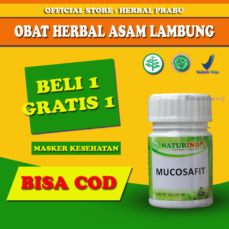 

MUCOSAFIT obat herbal asam lambung dan pencernaan dengan gejala mual muntah nyeri perut 40kapsul