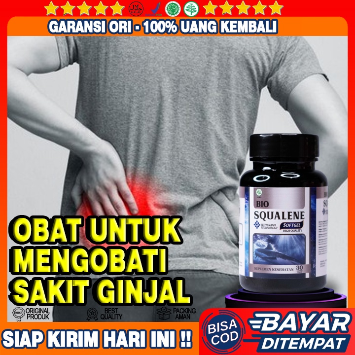 Obat Sakit Ginjal - Obat Ginjal Rusak - Obat Ginjal Bengkak - Obat Ginjal Kotor - Obat Radang Ginjal