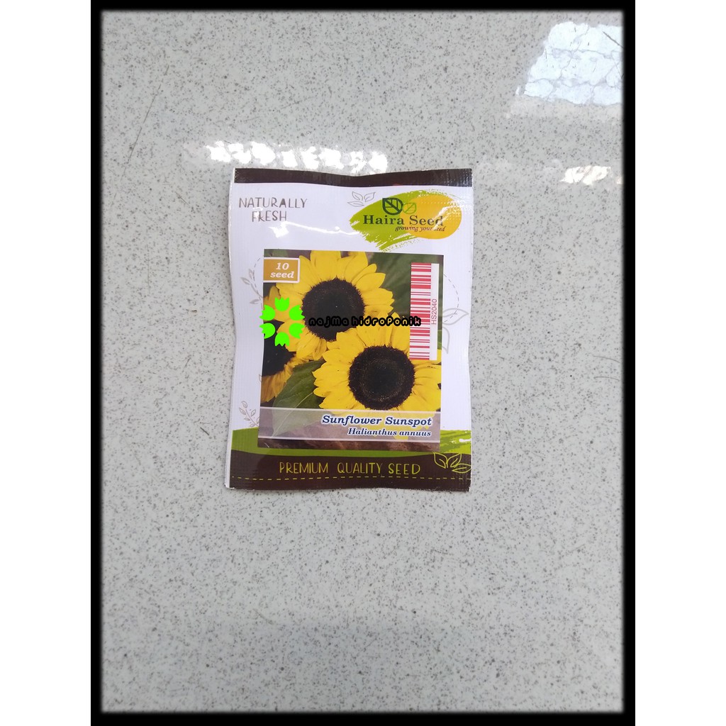 Benih/bibit Sunflower/Bunga Matahari Sunspot Pouch (Haira Seed)