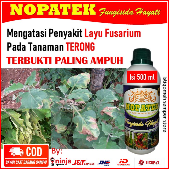 Promo COD - Noaptek Obat Layu Fusarium Terong - Nopatek Fungisida Hayati Pupuk Mengatasi Layu Fusari