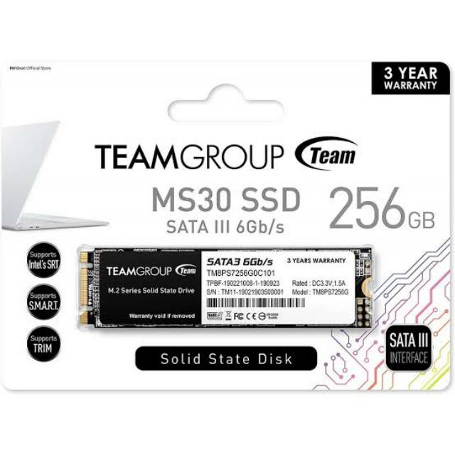 Team Group MS30 SSD 256GB M.2 2280 SATA III 6Gb/s