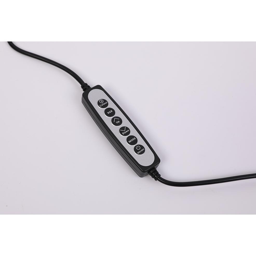 Lamou Ring Light LED Kamera 10 Inch with Smartphone Holder - RL-25 - White