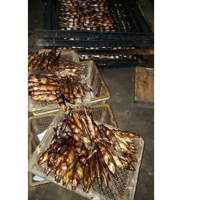 

Skip Aja!! Ikan Asap {{ ISI 4 }} #PRICEPOOL