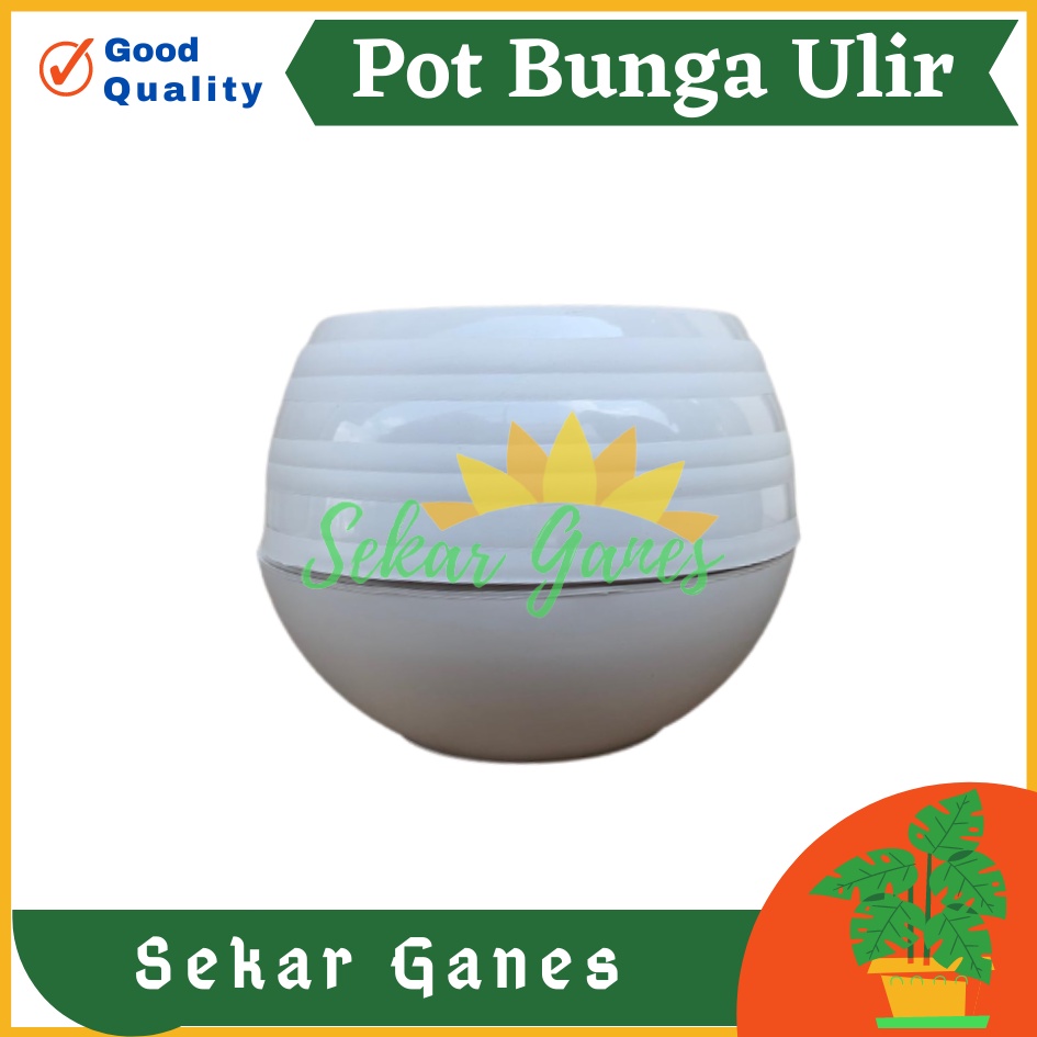 Pot Bola Ulir Putih Motif Pot Tawon Tanaman Bunga Plastik Jozaka - Pot Bola Mini Plastik Putih Bunga Pot Bunga Cantik Pot Bola Pot Plastik Putih