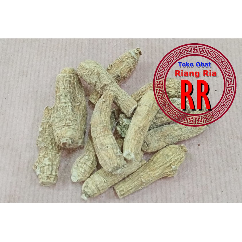 

Ginseng Amerika Muda Utuh - Yosem Muda Utuh - (nett 3.7gram)