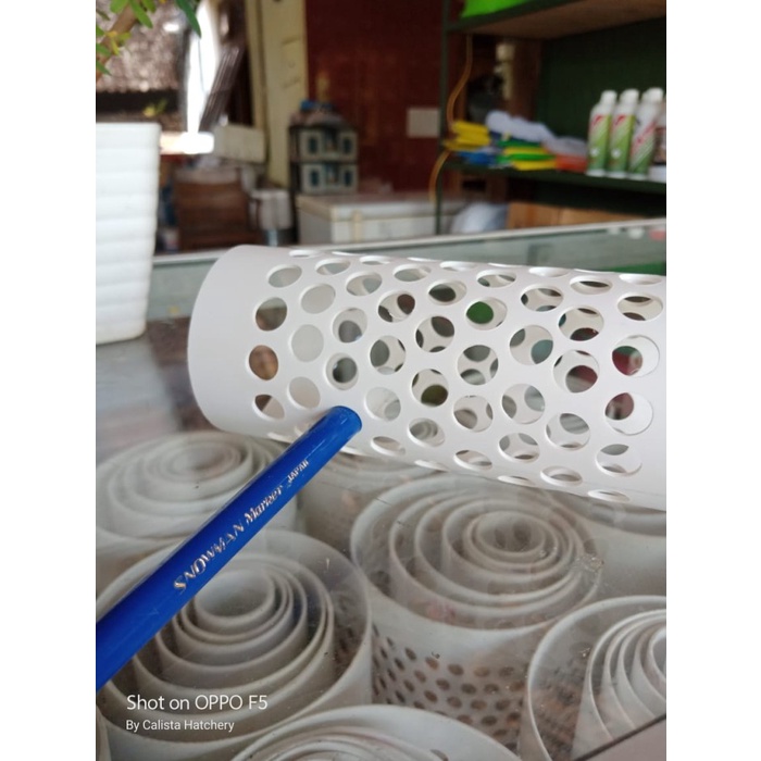 Promo Termurah Paralon Filter Kolam 2,5Inch Lubang 10Mm Panjang 25Cm Untuk Ikan Hias Koi Arwana Lele