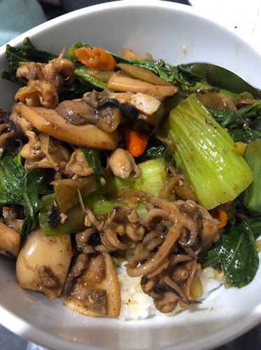 Talenan Lipat / Talenan Multifungsi / Talenan Serbaguna By Shenar