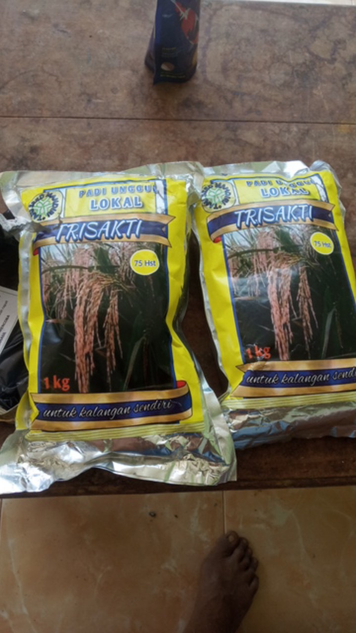 Benih Padi Trisakti 75hst Kemasan 1 Kg
