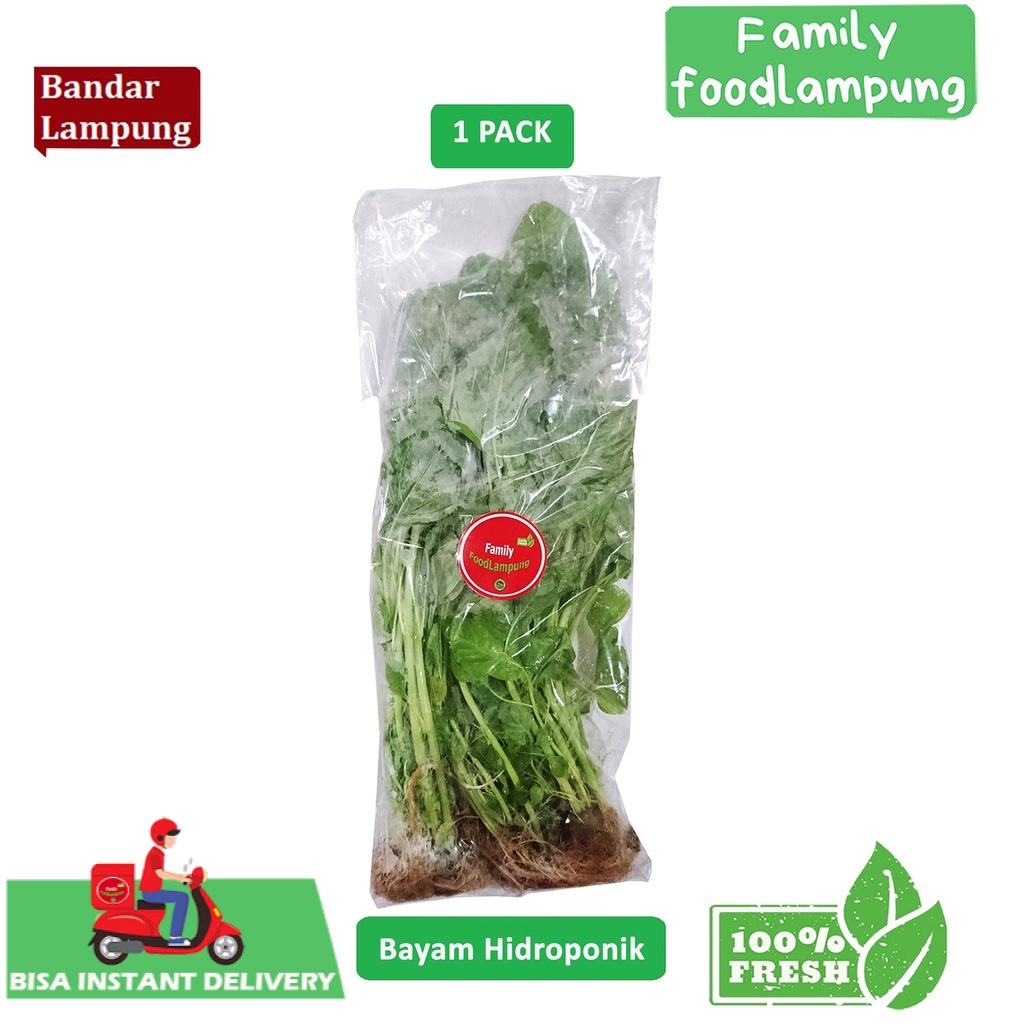 

Bayam Hidroponik Sayuran Segar 1 Pack Family Food Lampung