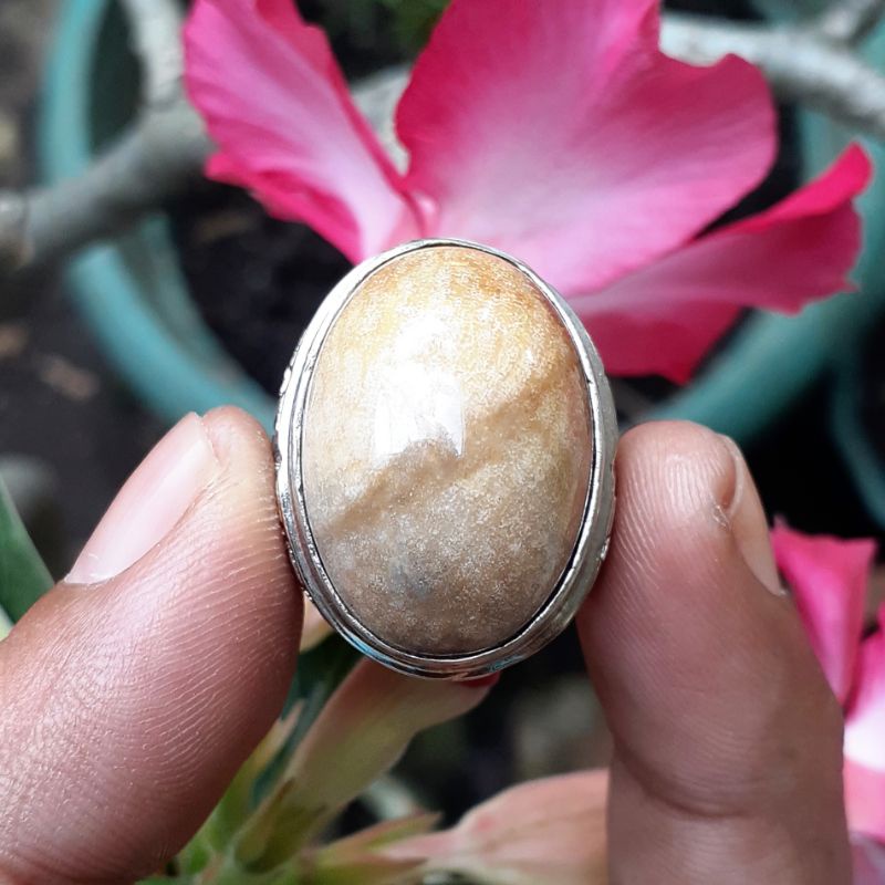 Batu Teratai Lipan Kendit Kristal