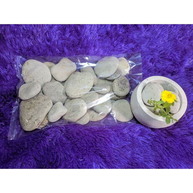 batu koral, batu hias, batu tanaman