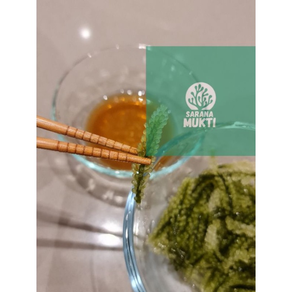 

Green Caviar Anggur Laut
