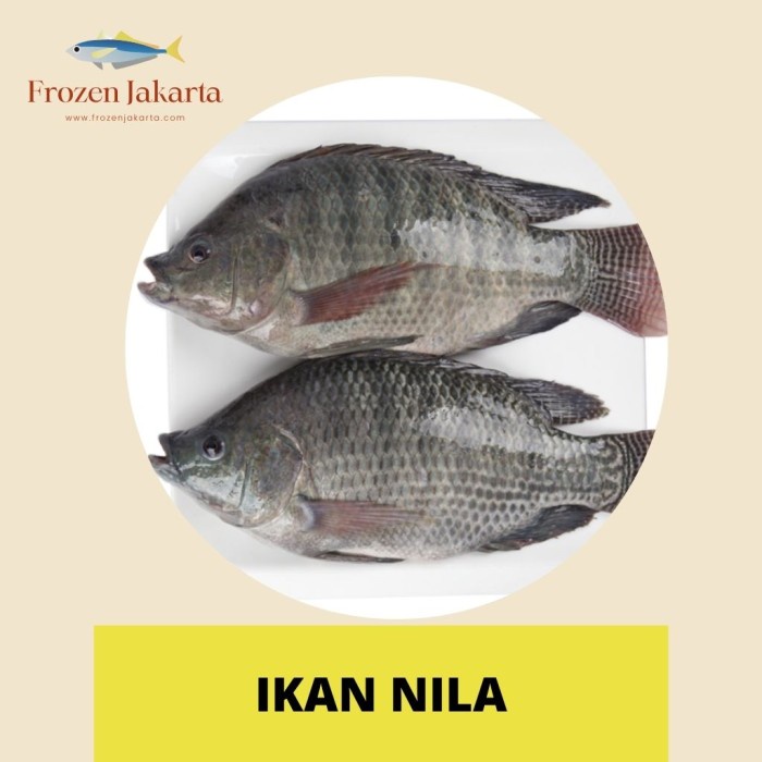 

IKAN NILA UTUH FROZEN JAKARTA TANPA PENGAWET PEMBEKUAN MURNI