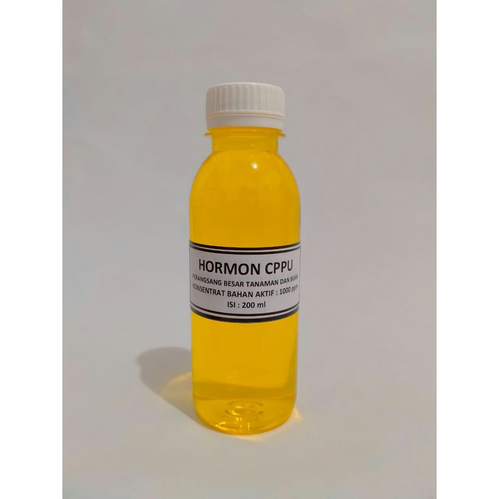 hormon zpt cppu pembesar buah dan tanaman ukuran 200ml