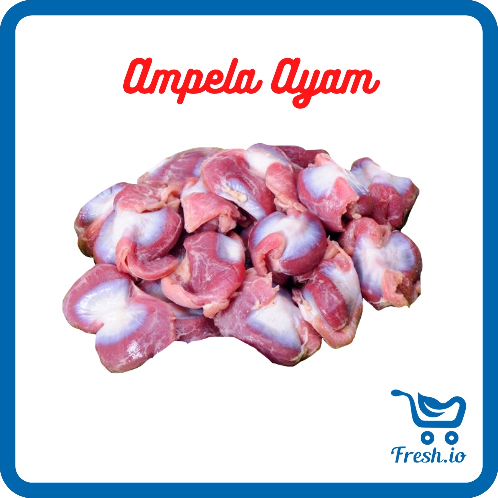 

Ampela Ayam