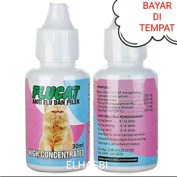 vitamin kucing obat kucing flu flucat