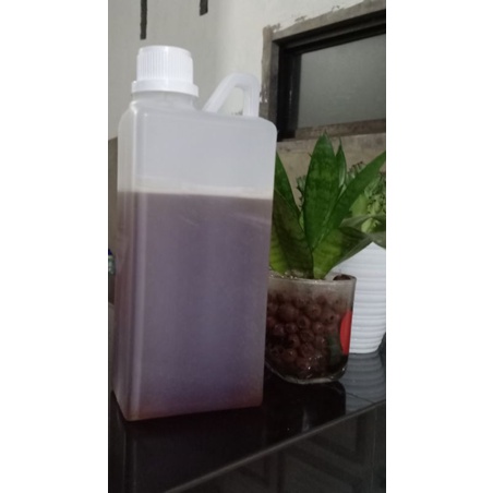

Madu hutan asli Jambi (1kg)