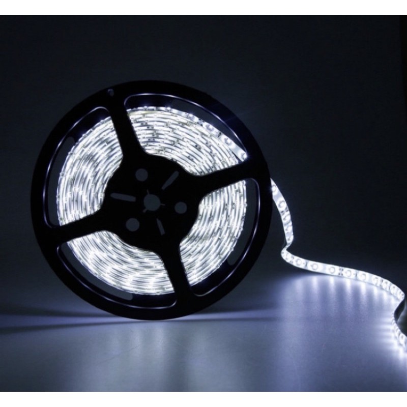 LED Strip Flexible 5050 24v 300 LED/Roll - WaterProof IP65 - 5 meter