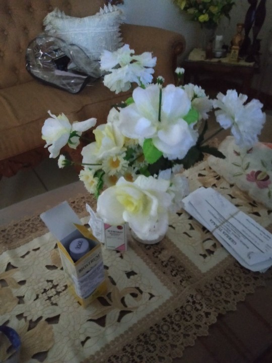 Pot Tawon 15 Cm Plastik