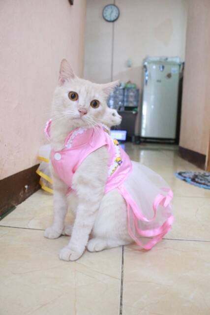 Dress shanghai chongsam satin baby pink imlek untuk kucing dan anjing size S-XL