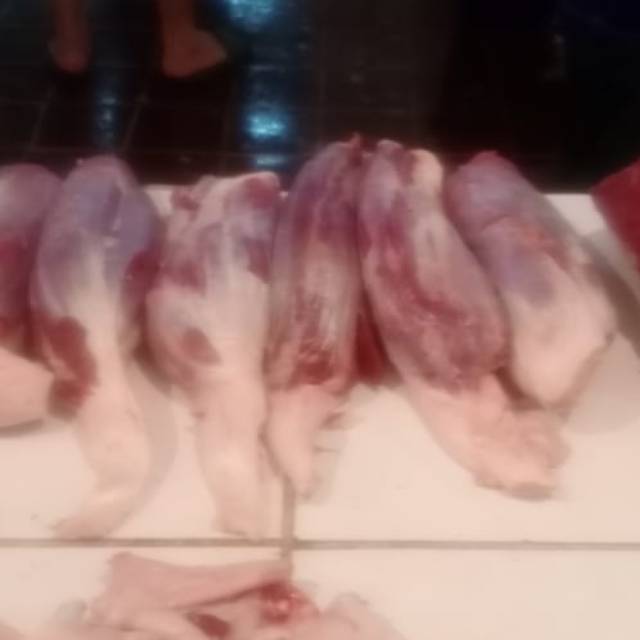 

SENGKEL BULAT Daging Segar Bang Akray