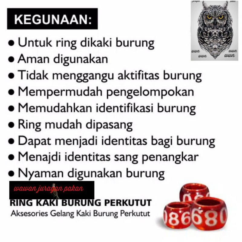 ring burung perkutut, ring kutut